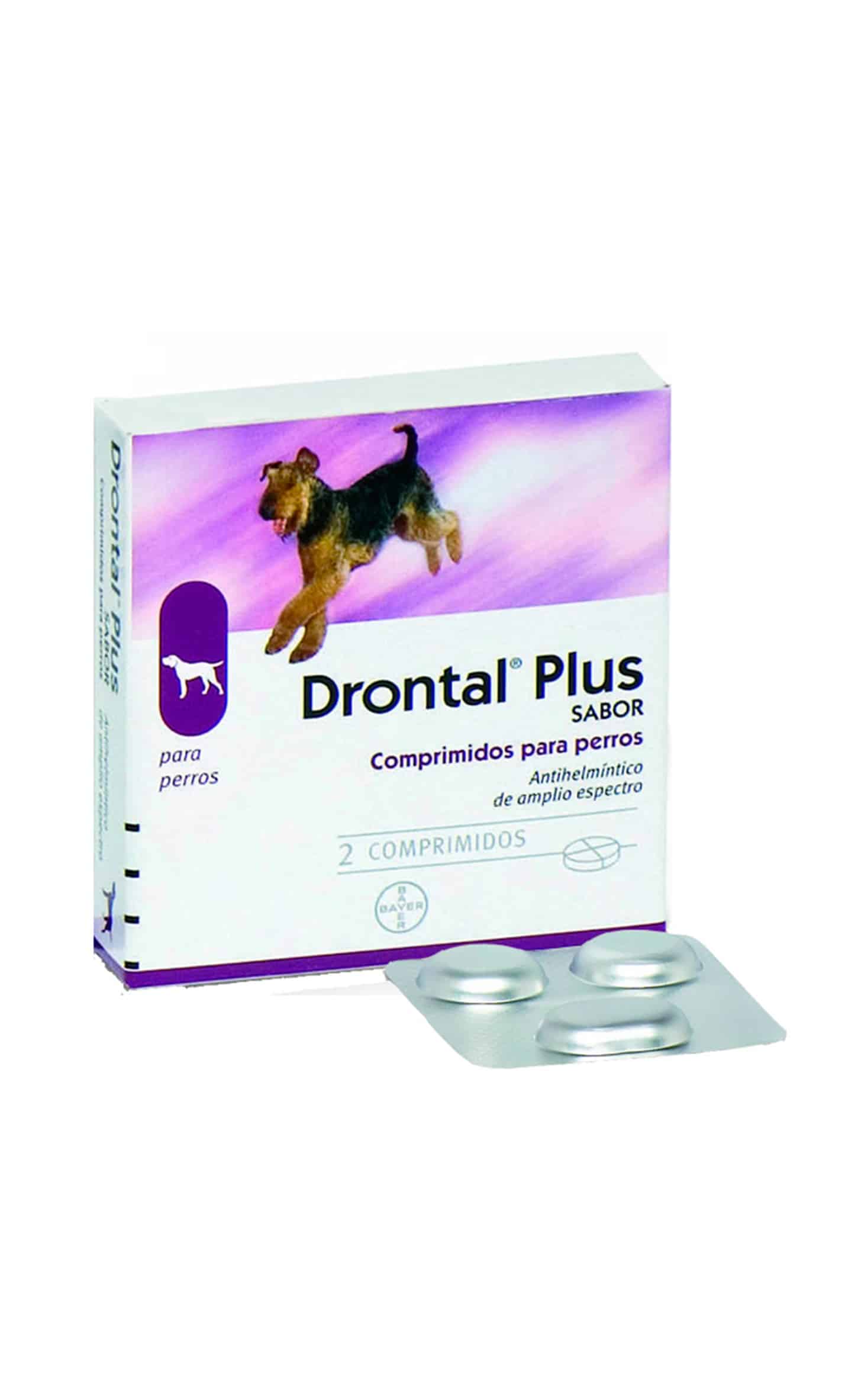 cuestionario confirmar becerro Drontal Plus Perros 2 Comp - Luaterra.com